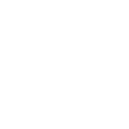 BVSA