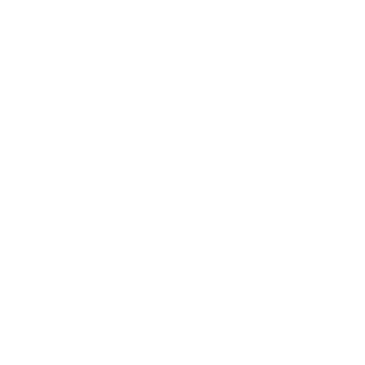 The BVSA brain logo